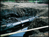hydroseeder